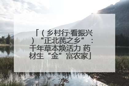 （乡村行·看振兴）“正北芪之乡”：千年草本焕活力 药材生“金”富农家
