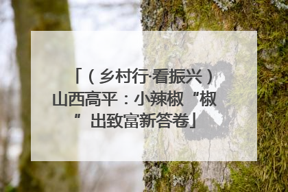 （乡村行·看振兴）山西高平：小辣椒“椒”出致富新答卷