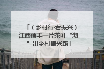 （乡村行·看振兴）江西信丰一片茶叶“沏”出乡村振兴路