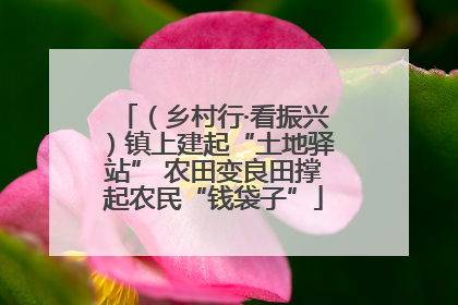 （乡村行·看振兴）镇上建起“土地驿站” 农田变良田撑起农民“钱袋子”