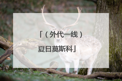 （外代一线）夏日莫斯科