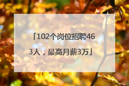 102个岗位招聘463人，最高月薪3万