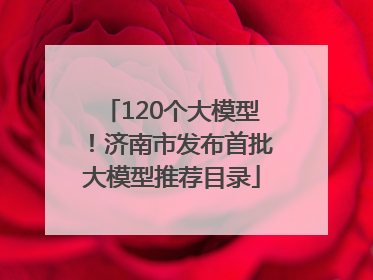 120个大模型！济南市发布首批大模型推荐目录