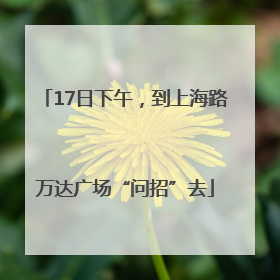 17日下午，到上海路万达广场“问招”去