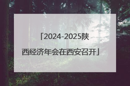 2024-2025陕西经济年会在西安召开