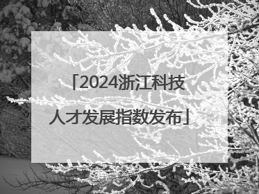 2024浙江科技人才发展指数发布