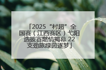 2025“村超”全国赛（江西赛区）弋阳选拔赛燃情揭幕 22支劲旅绿茵逐梦