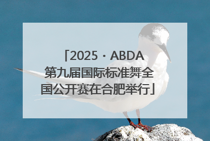 2025・ABDA 第九届国际标准舞全国公开赛在合肥举行