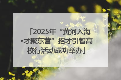 2025年“黄河入海•才聚东营”招才引智高校行活动成功举办