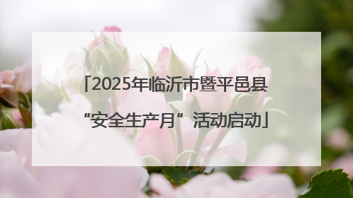 2025年临沂市暨平邑县“安全生产月”活动启动