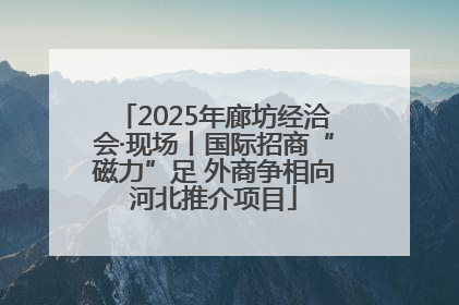 2025年廊坊经洽会·现场丨国际招商“磁力”足 外商争相向河北推介项目