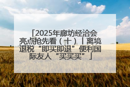 2025年廊坊经洽会亮点抢先看（十）丨离境退税“即买即退”便利国际友人“买买买”
