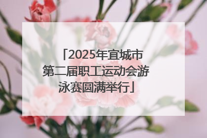 2025年宜城市第二届职工运动会游泳赛圆满举行