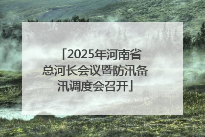 2025年河南省总河长会议暨防汛备汛调度会召开