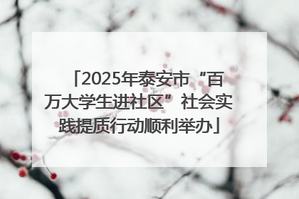 2025年泰安市“百万大学生进社区”社会实践提质行动顺利举办