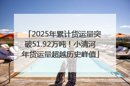 2025年累计货运量突破51.92万吨！小清河年货运量超越历史峰值