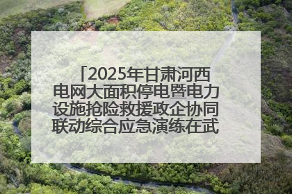 2025年甘肃河西电网大面积停电暨电力设施抢险救援政企协同联动综合应急演练在武威成功举行