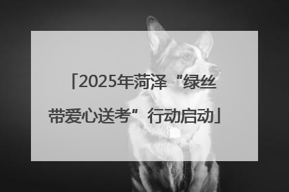 2025年菏泽“绿丝带爱心送考”行动启动