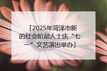 2025年菏泽市新的社会阶层人士庆“七一”文艺演出举办