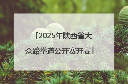 2025年陕西省大众跆拳道公开赛开赛