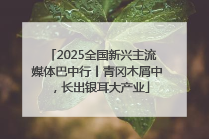 2025全国新兴主流媒体巴中行丨青冈木屑中，长出银耳大产业