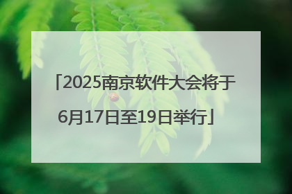 2025南京软件大会将于6月17日至19日举行