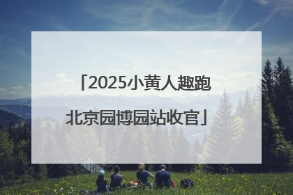 2025小黄人趣跑北京园博园站收官
