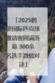 2025鹤壁国际匹克球邀请赛圆满落幕 300余名选手激情对决