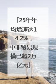 25年年均增速达14.2%，中非贸易规模已超2万亿元