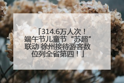 314.6万人次！端午节儿童节“苏超”联动 徐州接待游客数位列全省第四！