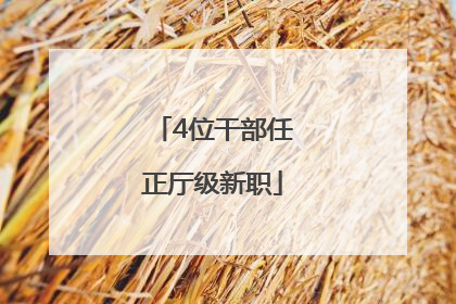 4位干部任正厅级新职
