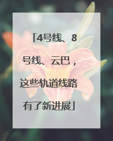 4号线、8号线、云巴，这些轨道线路有了新进展