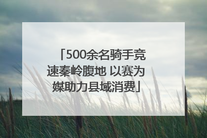 500余名骑手竞速秦岭腹地 以赛为媒助力县域消费