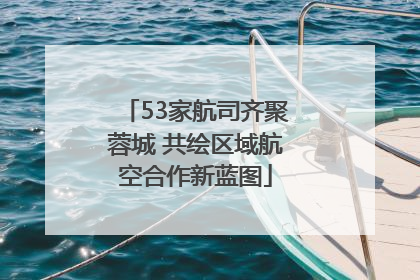 53家航司齐聚蓉城 共绘区域航空合作新蓝图