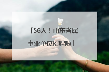 56人！山东省属事业单位招聘啦