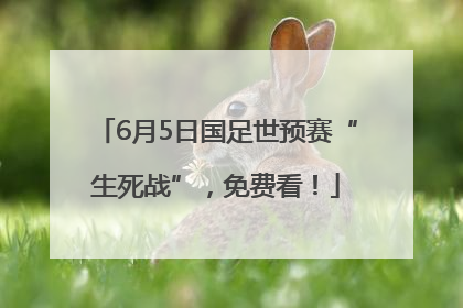 6月5日国足世预赛“生死战”，免费看！