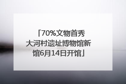 70%文物首秀 大河村遗址博物馆新馆6月14日开馆