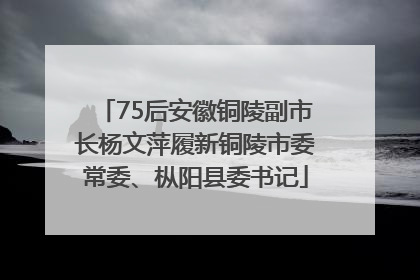 75后安徽铜陵副市长杨文萍履新铜陵市委常委、枞阳县委书记