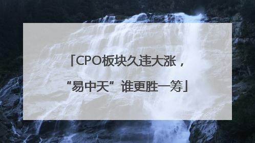 CPO板块久违大涨，“易中天”谁更胜一筹