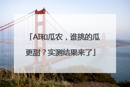 AI和瓜农，谁挑的瓜更甜？实测结果来了