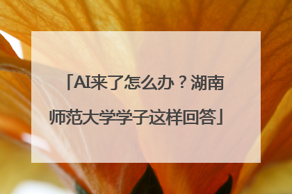 AI来了怎么办？湖南师范大学学子这样回答