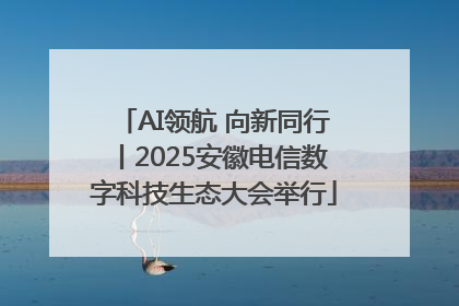 AI领航 向新同行丨2025安徽电信数字科技生态大会举行