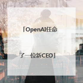 OpenAI任命了一位新CEO