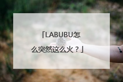LABUBU怎么突然这么火？