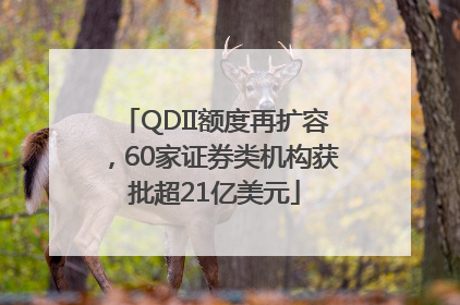 QDII额度再扩容，60家证券类机构获批超21亿美元